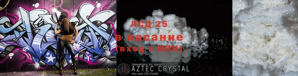 стафф Вязьма