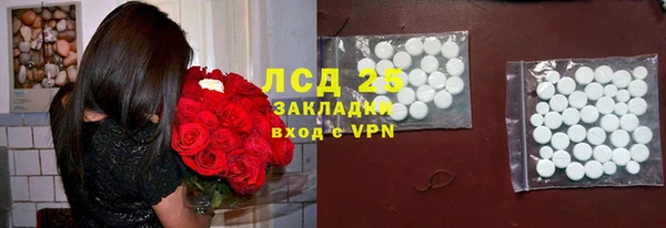 стафф Вязьма