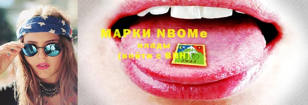 стафф Вязьма
