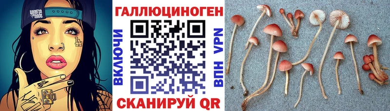 Купить  Спас-Деменск  Галлюциногенные грибы мицелий 